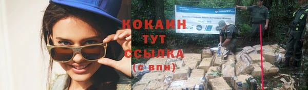 прущий лед Алексин