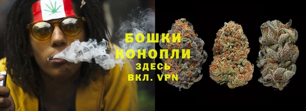 прущий лед Алексин