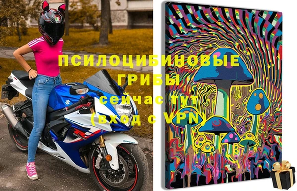 МДПВ Алзамай