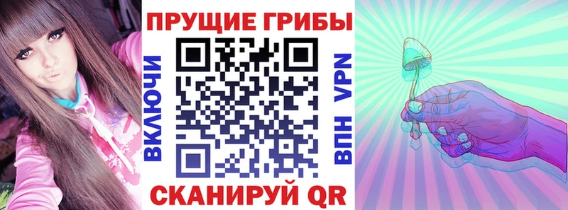 цены наркотик  Шенкурск  Псилоцибиновые грибы MAGIC MUSHROOMS 